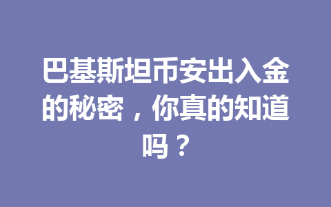 巴基斯坦币安出入金的秘密，你真的知道吗？