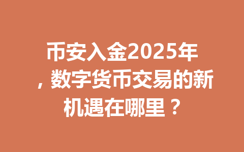 币安入金2025年，数字货币交易的新机遇在哪里？