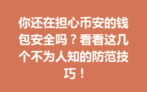 你还在担心币安的钱包安全吗？看看这几个不为人知的防范技巧！