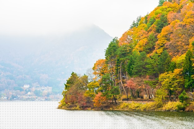 轻松实现币安下载apk,这些步骤帮你快速上手交易2025年 轻松实现币安下载apk,这些步骤帮你快速上手交易2025年