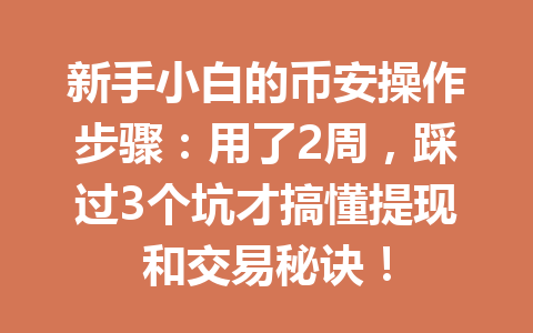 新手小白的币安操作步骤：用了2周，踩过3个坑才搞懂提现和交易秘诀！